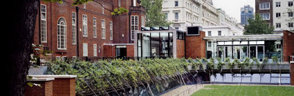 The Royal Geographical Society building seen from the garden, with a large field of grass in front of the old, red-bricked building.