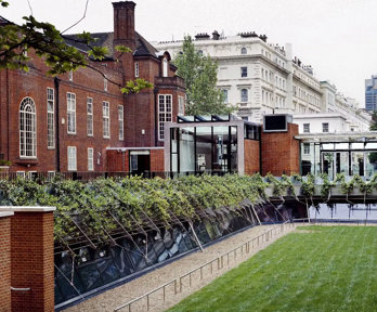 The Royal Geographical Society building seen from the garden, with a large field of grass in front of the old, red-bricked building.