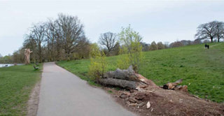 View over works at the ponds