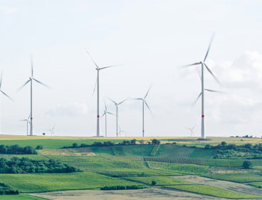 Green agricultural fields with windmills.