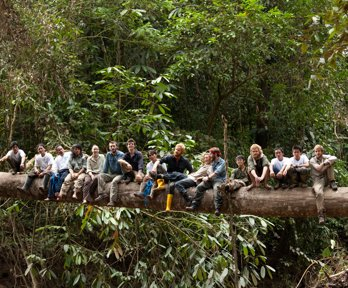 Group of people sitting on a large horizontal tree trunk surrounded by forest.