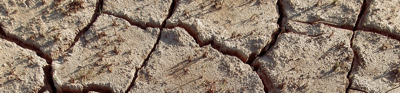Cracked ground from heat 
