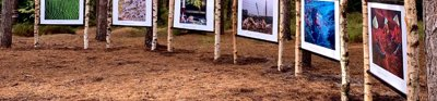 A series of the Earth Photo images hanging in a forest 