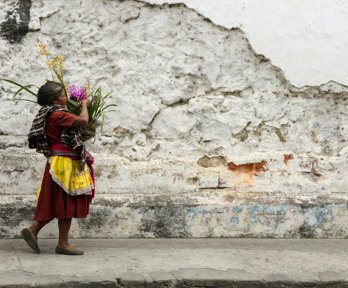 A woman carries a basket of flowers next to the cobblestone streets and crumbling walls of Antigua Guatemala.