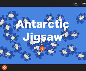 Antarctic jigsaw interactive screenshot