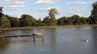 The Men’s bathing pond at Hampstead Heath. 