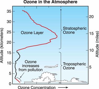 Taken from the 2006 Scientific Assessment of Ozone Depletion, WMO Image Source