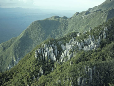 Aerial view of Gunung Mulu green mountains.