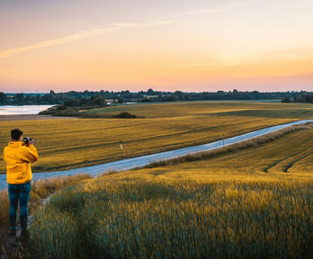 A person is taking a picture of a road which cuts through a field.