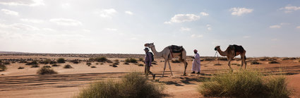 Desert landscapes with two men walking camels