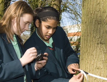 Two schoolchildren measuring the circumference of a tree.