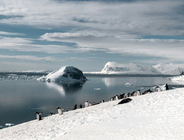 A view over Antarctica showing mountains and penguins