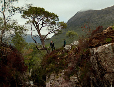 Two people standing on a rocky area looking at a pine tree.