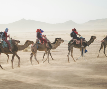 Five people ride camals through the sahara desert in morocco