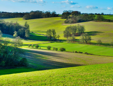 Undulating open fields with trees lining the field boundaries.