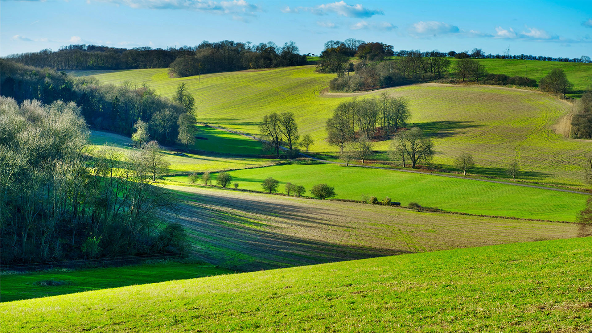 Rural Geography Research Group - RGS