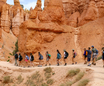 A group of students walking in a line through a red sandstone environment, with rocky outcrops and small bushy green plants 