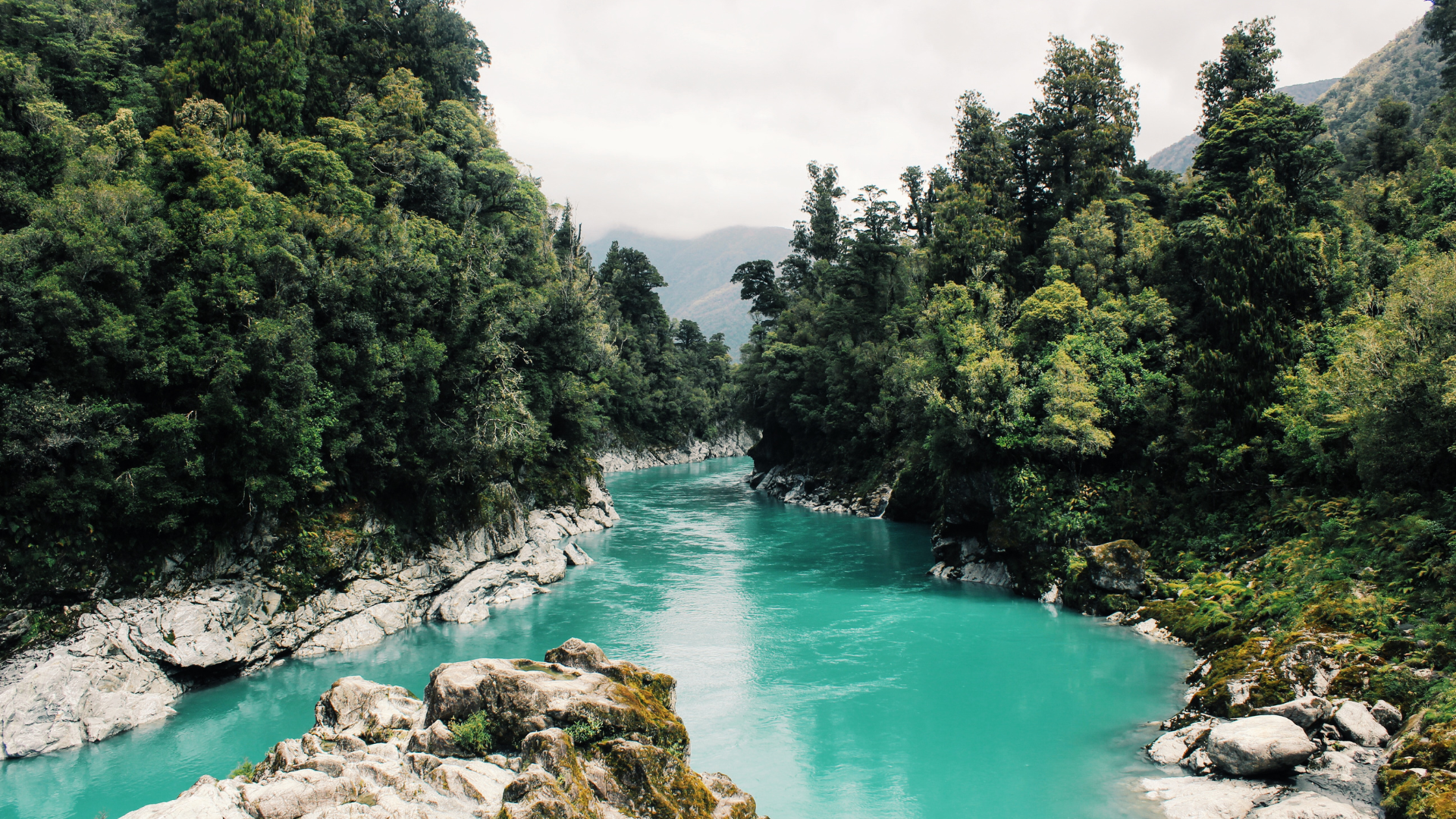 A turquois blue river winds through a rocky forest. A large rock partially covered in green and brown moss protrudes from the centre of the river parting it.