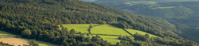 Fields and woodland in Dartmoor 