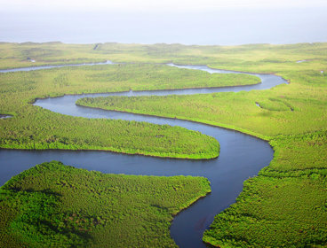 A lowland river meandering through grassland.