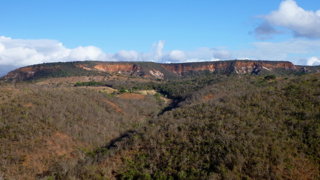 Cerrado area