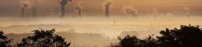 A hazy sky at sunrise, with industrial pollution rising from chimneys in the background and the tops of trees visible in the foreground