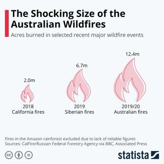 A diagram where drawn flames shapes are used of different sizes to show how Australian wildfires compared to those in California and Siberia. 