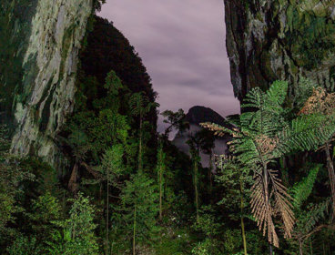 A tall cave called Deer Cave in Gunung Mulu National Park, Malaysia, at dusk.