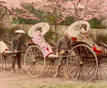 Early 19th century photograph of three geishas on jin rickshaws pulled by three men.