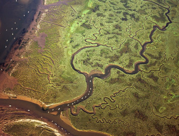 Aerial view of braided river system.