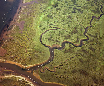 Aerial view of braided river system.