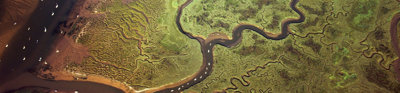 Aerial view of braided river system.