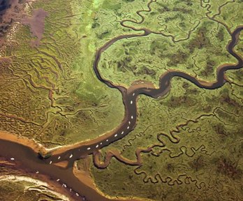 Aerial view of braided river system
