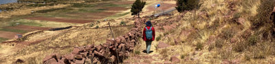 A person walking away along a path, with fields either side and the sea in the distance. 