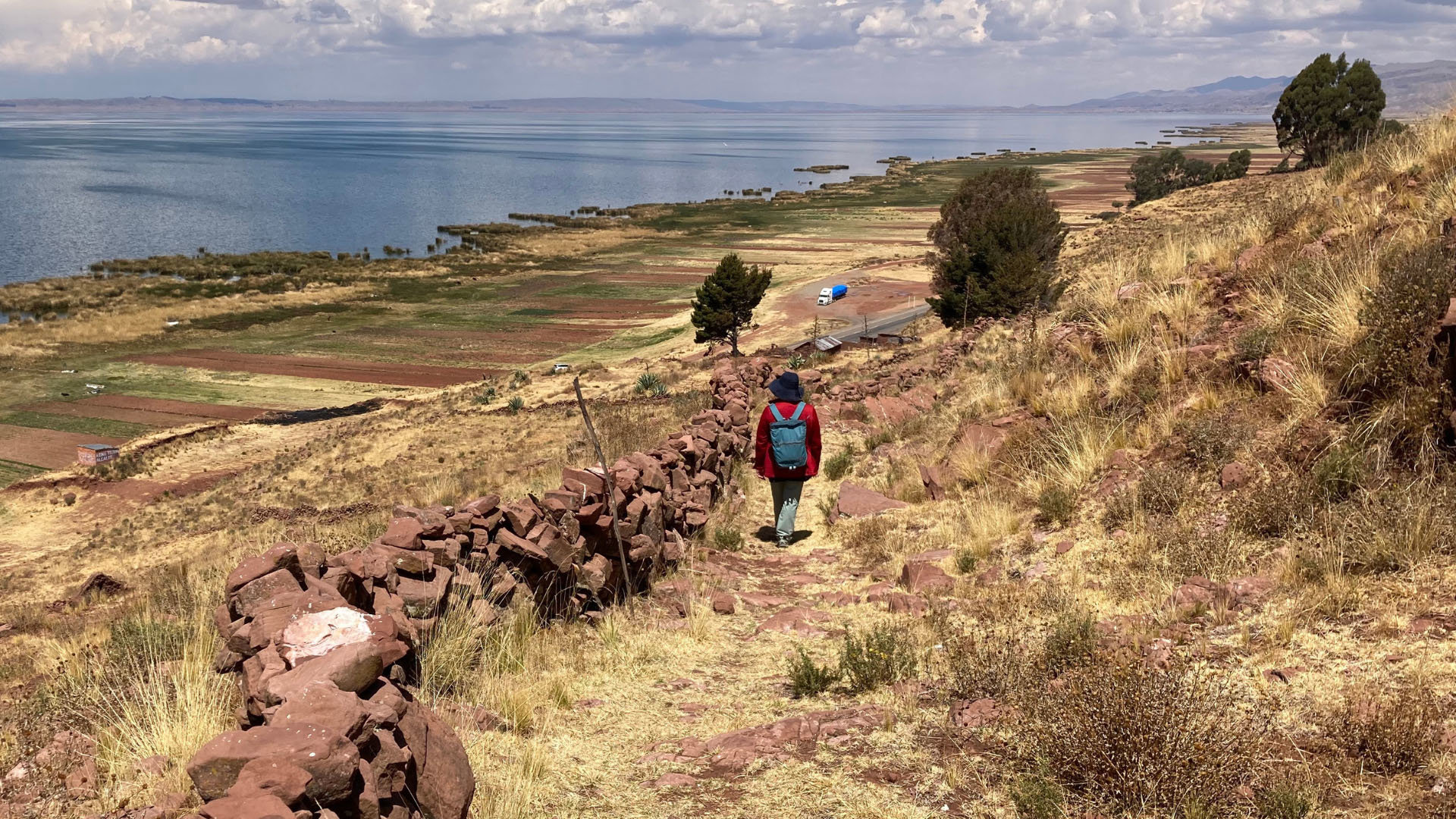 A person walking away along a path, with fields either side and the sea in the distance. 