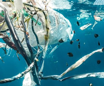 A bundle of plastic and waste products floating beneath the surface of the sea with fish swimming around the waste