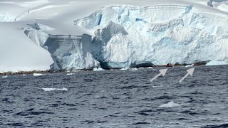 A view of the edge of the ice shelf in Antarctica