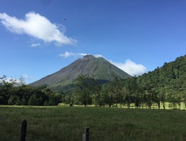 A volcano with a forest of trees in the foreground and blue skies above