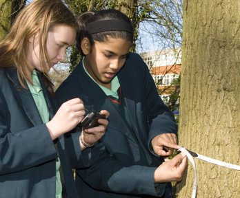 Two school girls are using a tape measure to measure the circumference of a tree. One is measuring and the other is noting the measurement. The school buildings are in the background.