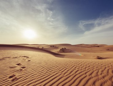 sand dunes in a hot desert