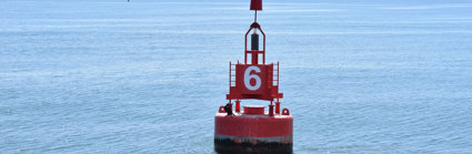 A red and white buoy showing the number 6, floating in the sea. A large cointainer ship is sailing on the horizon.