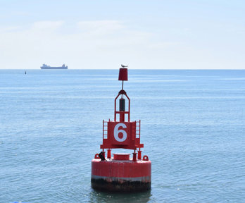 A red and white buoy showing the number 6, floating in the sea. A large cointainer ship is sailing on the horizon.