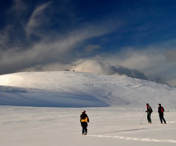 Small group of scientists hiking across a glacier.