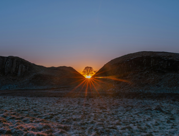 Sycamore Gap Tree with sun shining behind
