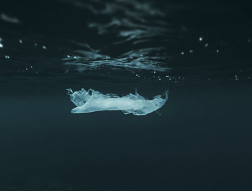 A piece of plastic floating in the sea