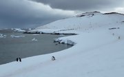 A coastal area in Antarctica, showing penguins