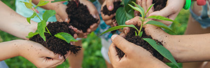 Selective focus of five children's hands each holding a pile of earth from which a small plant emerges.