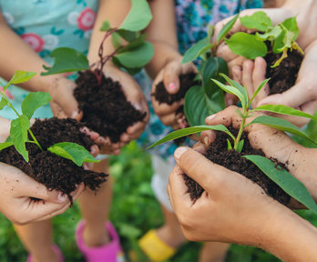 Selective focus of five children's hands each holding a pile of earth from which a small plant emerges.