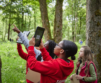 Children in a wooded area doing geography fieldwork