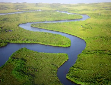 A deep blue river meandering through a lush green rainforest, taken from above.
